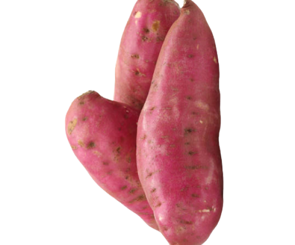 Sweet Potato